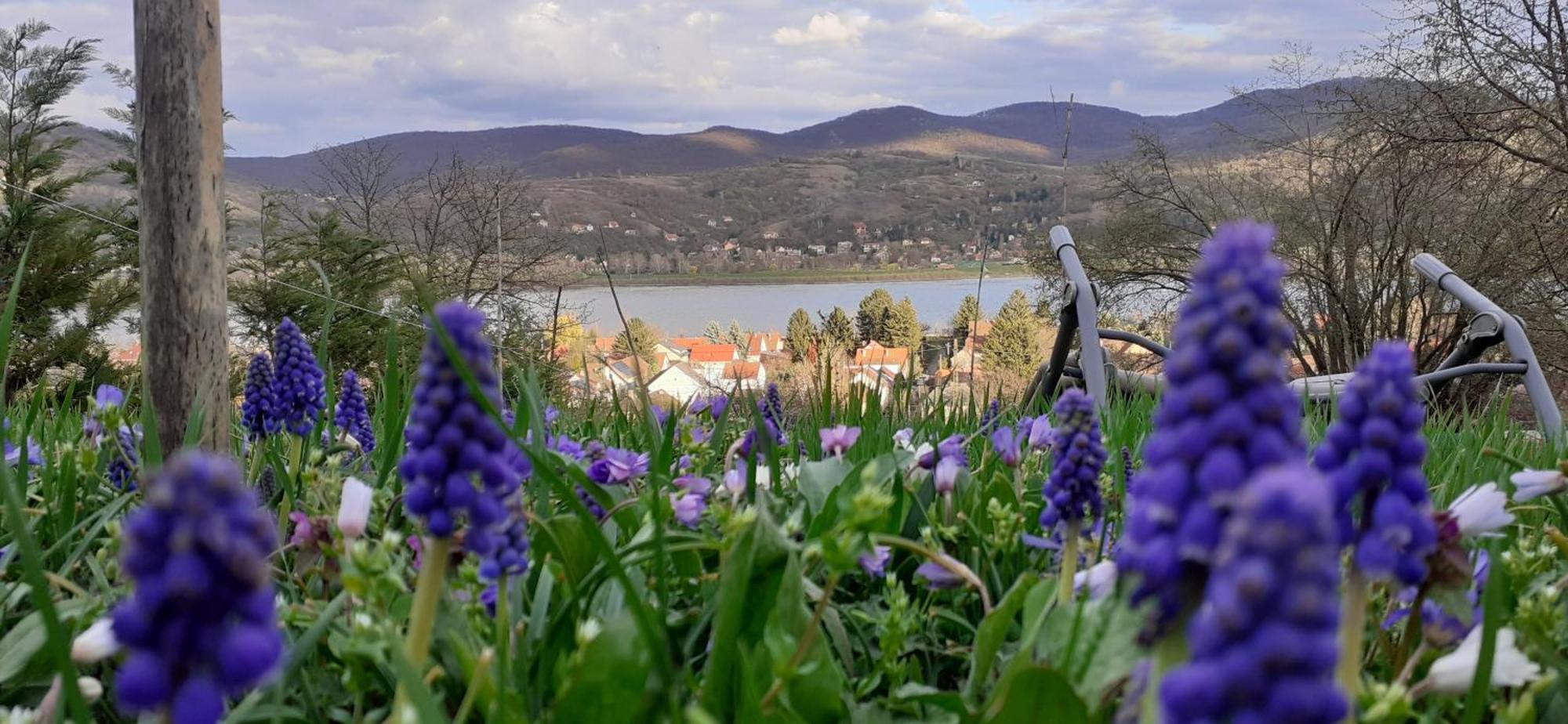 New Hope Land Apartman Nagymaros Kültér fotó